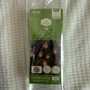 Holiday Time 18 Warm White LED Icon Lights